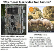 2-Pack Trail Hunting & Game Cameras Field Farm Cams 24MP 1296P Video 0.1s Fast Trigger Time Motion Activated Waterproof | A262