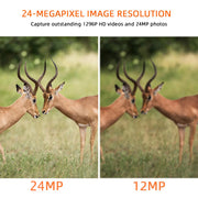 2-Pack No Glow Game Field Cams & Trail Deer Hunting Cameras 24MP 1296P Video Motion Activated Waterproof IP66 Night Vision | A252