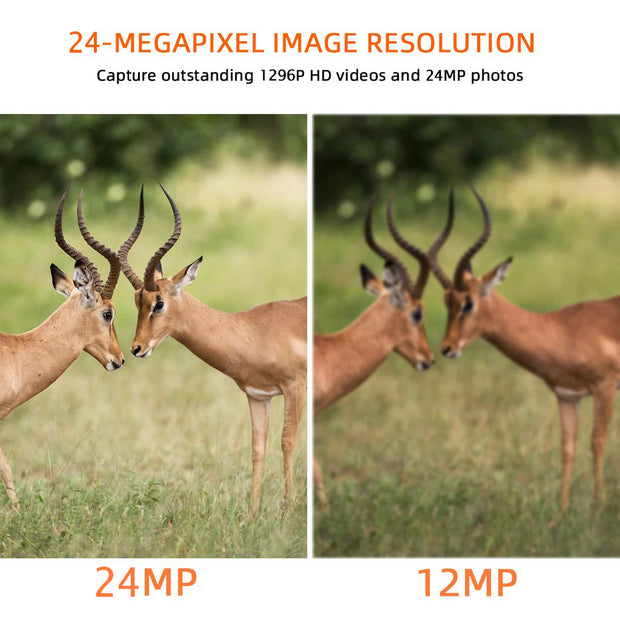 Game Trail & Deer Hunting Wildlife Camera HD 24MP Photo H.264 1296P MOV/MP4 Video Motion Activated No Glow Night Version IP66 Waterproof 丨A252