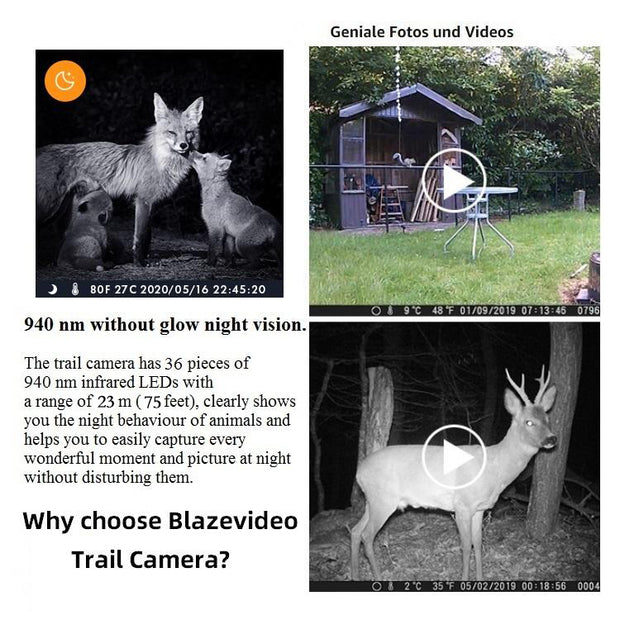 2-Pack Game Trail Animal Cams Hunting Deer Cameras 24MP 1296P Video Night Vision No Glow Infrared Photo & Video Motion Activated Waterproof | A252