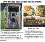 2-Pack Game & Deer Trail Cameras 24MP Photo 1296P HD Video with Night Vision Motion Activated Waterproof No Glow 丨A252