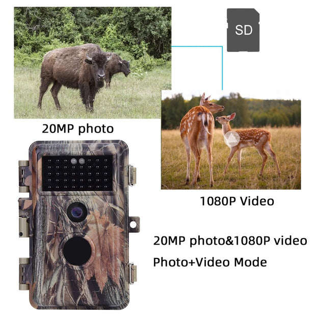 Game Trail Deer Hunting & Field Tree Camera 24MP 1296P MP4/MOV Video Night Vision Waterproof Password Protected Photo & Video Model | A252