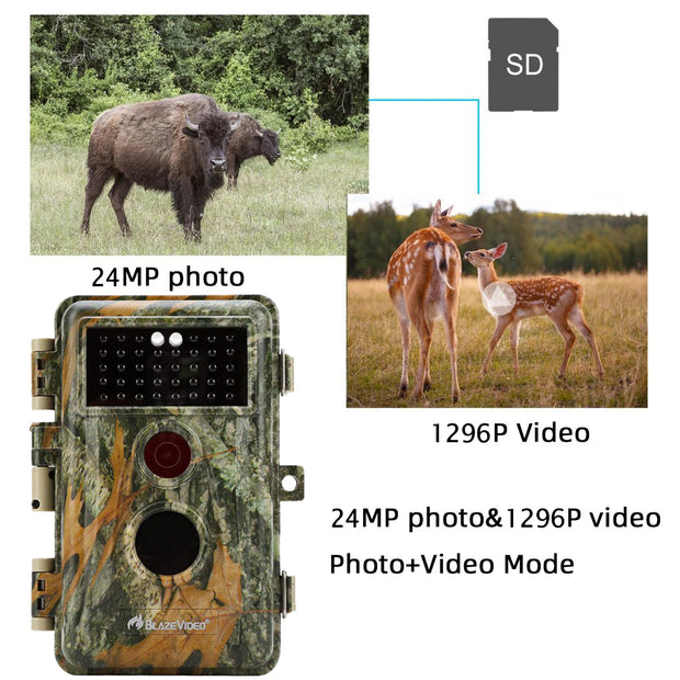 Game Farm Trail Camera & Wildlife Hunting Field Cam 24MP 1296P Video Waterproof Night Vision No Flash Infrared Motion Activated | A252
