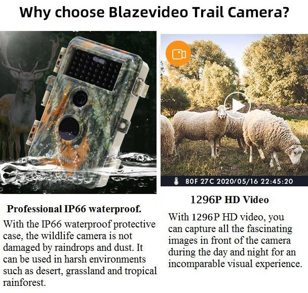 2-Pack Game Trail Animal Cams Hunting Deer Cameras 24MP 1296P Video Night Vision No Glow Infrared Photo & Video Motion Activated Waterproof | A252