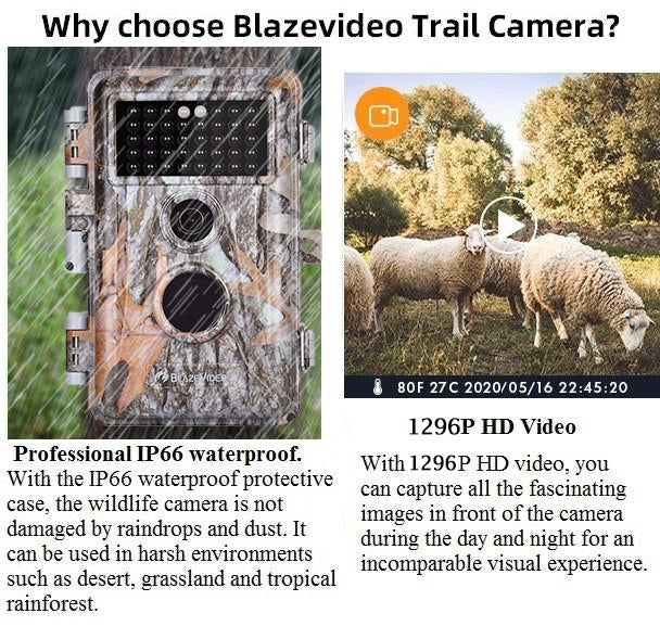 4-Pack Game & Deer Trail Cameras 24MP HD 1296P H.264 MP4/MOV Video No Glow Night Vision Waterproof Motion Activated Photo and Video Model | A252