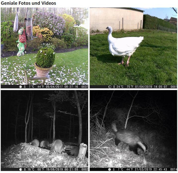 5-Pack Trail Observing & Game Cameras Field Farm Cams 24MP 1296P Video 0.1s Fast Trigger Time Motion Activated Waterproof | A262