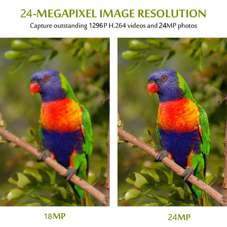 2-Pack Trail Hunting & Game Cameras Field Farm Cams 24MP 1296P Video 0.1s Fast Trigger Time Motion Activated Waterproof | A262