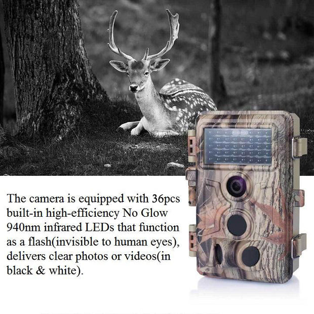 2-Pack Trail Game Cameras for Wildlife Hunting & Home Security 24MP H.264 1296P MP4 Video Waterproof Motion Activated Photo & Video Model | A262
