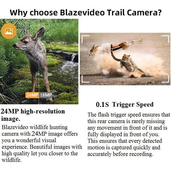 2-Pack Trail Game Cameras for Wildlife Hunting & Home Security 24MP H.264 1296P MP4 Video Waterproof Motion Activated Photo & Video Model | A262