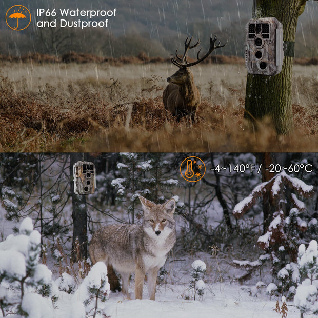 2-Pack Bluetooth Wireless WIFI Game & Trail Cameras for Wildlife Hunting & Home or Backyard Security Night Vision Motion Activated Waterproof | A280W