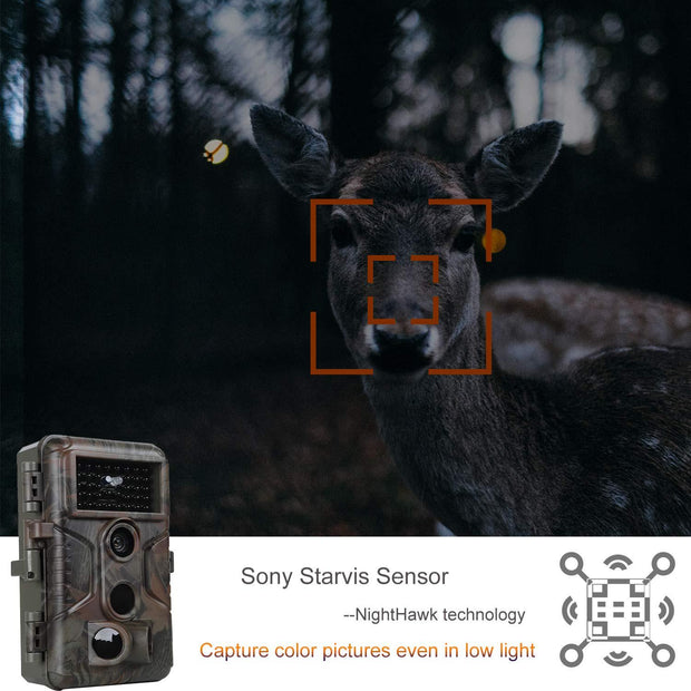 4-Pack Game Trail Deer Cameras  24MP Photo 1296P Video with 100ft Night Vision Motion Activated 0.1S Trigger Speed Waterproof No Glow | A323