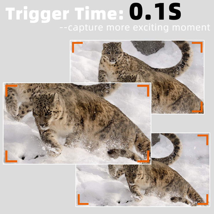 Trail Deer Camera with 100ft Night Vision 24MP 1296P Video Audio Motion Activated 0.1S Trigger Speed No Glow Waterproof Animal Hunting Cams | A323