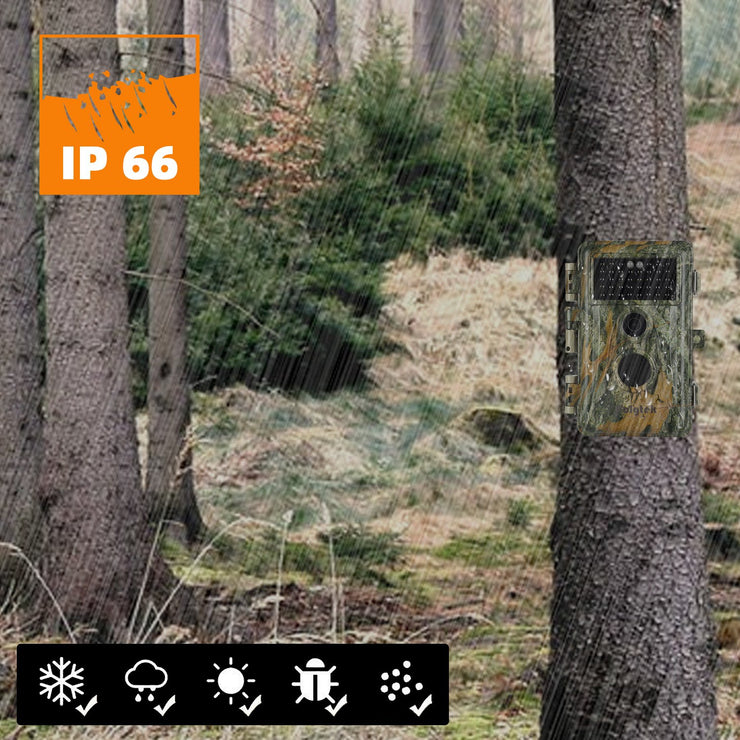 5-Pack No Glow Game & Trail Deer Hunting Wildlife Cameras 24MP 1296P MP4 Video Night Vision Motion Activated Time Lapse | A252