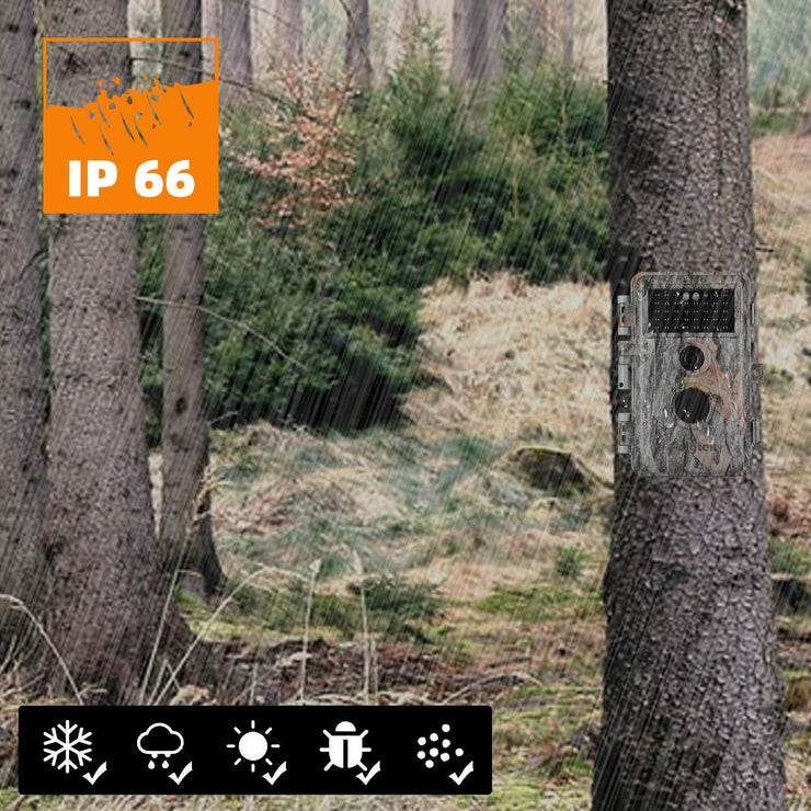 5-Pack Game Trail Deer Cameras Wildlife Cams 24MP Photo 1296P Video No Glow Night Vision Waterproof Motion Activated Photo and Video Model | A252