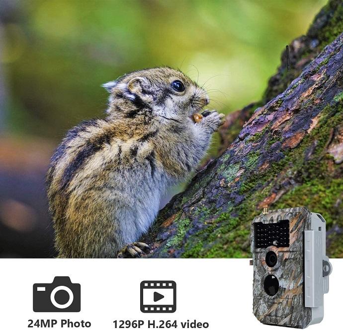 2-pack Wireless Bluetooth WiFi Game Trail Deer Camera 24MP 1296P Video with Night Vision No Glow Motion Activated for Wildlife Hunting & Home Security | W600