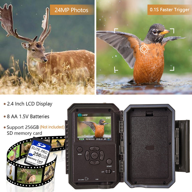 2-pack Wireless Bluetooth WiFi Game Trail Deer Camera 24MP 1296P Video with Night Vision No Glow Motion Activated for Wildlife Hunting & Home Security | W600 Red